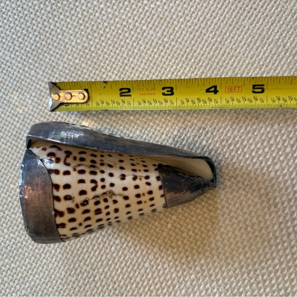 Decorative Cone Shell - Picture 4 of 5